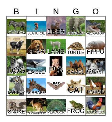 ANIMAL Bingo Card
