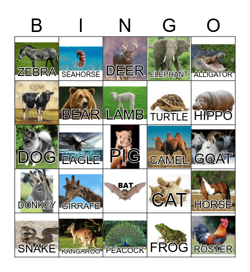 ANIMAL Bingo Card