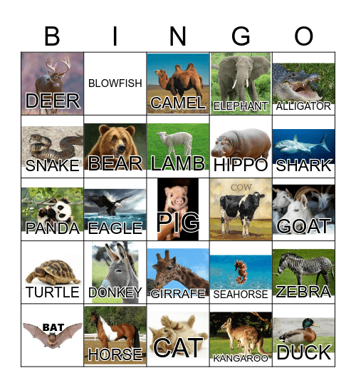 ANIMAL Bingo Card