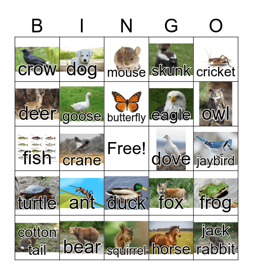 Animals & Insects Bingo Card