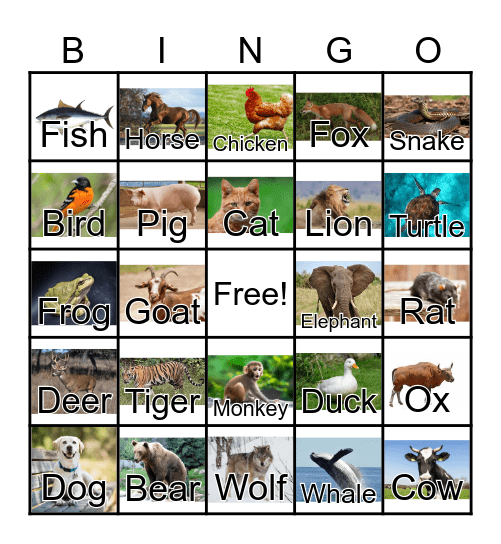 Animals Bingo Card