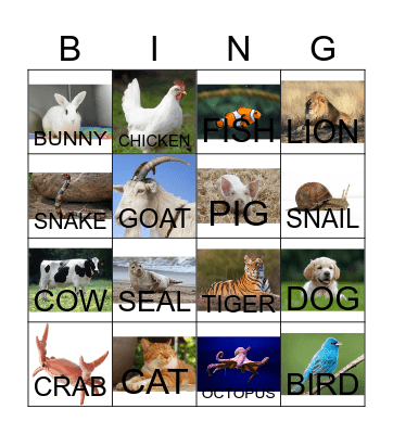 ANIMAL BINGO Card