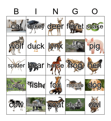 Animals in Finland Bingo Card