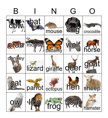 Animals Dinat Bingo Card
