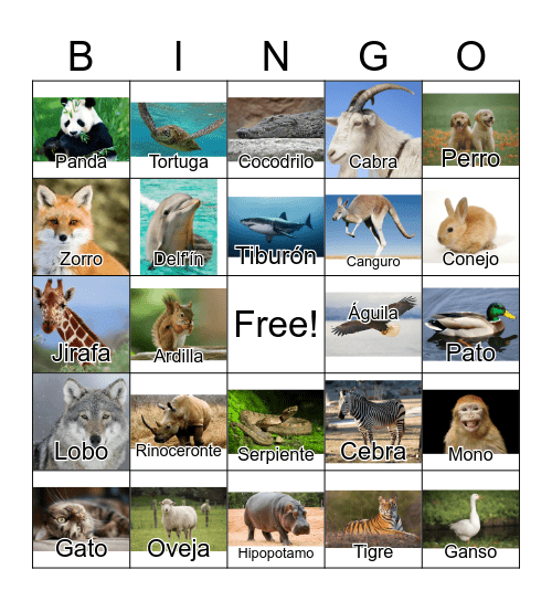 Animals in Spanish Bingo Card