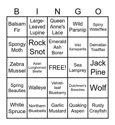 Native and Invasive Species Bingo Card