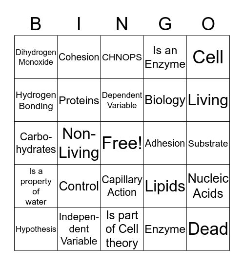 Biology Bingo Card