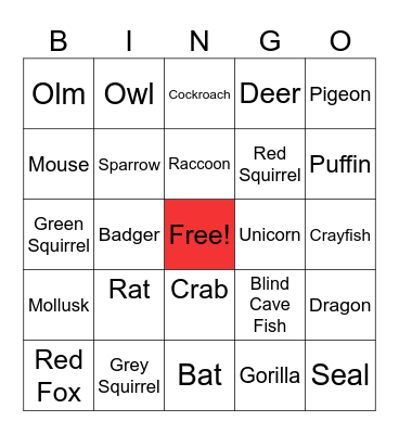 Urban Animals Bingo Card