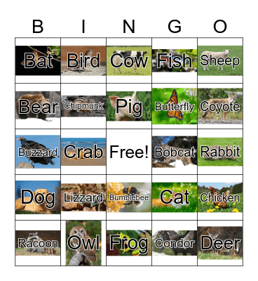 Animal Bingo Card
