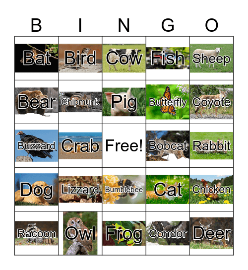 Animal Bingo Card
