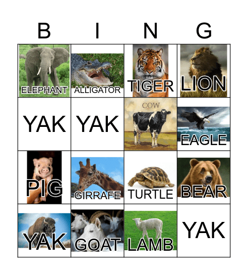 ANIMAL Bingo Card