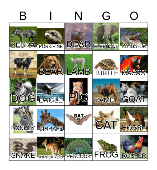 ANIMAL Bingo Card