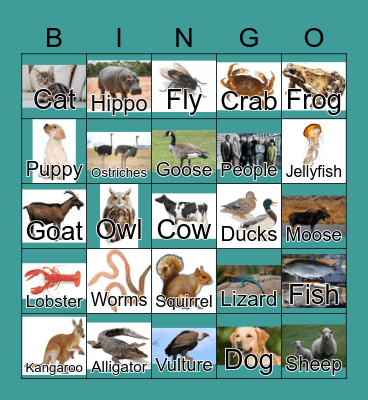 Animals Bingo Card