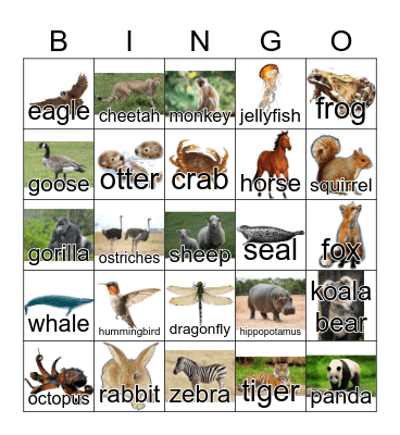 Animals Bingo Card