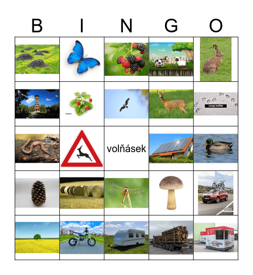 Puťák Bingo Card