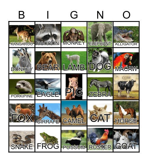 ANIMAL Bingo Card