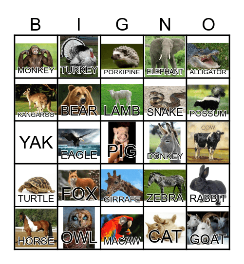 ANIMAL Bingo Card