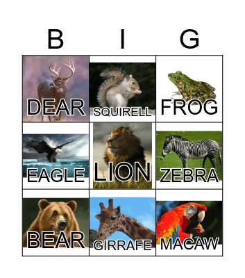 ANIMAL Bingo Card