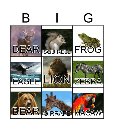 ANIMAL Bingo Card