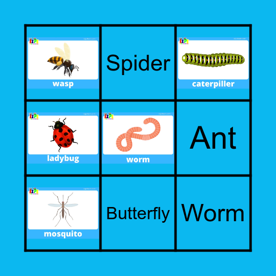 Insects Bingo Card