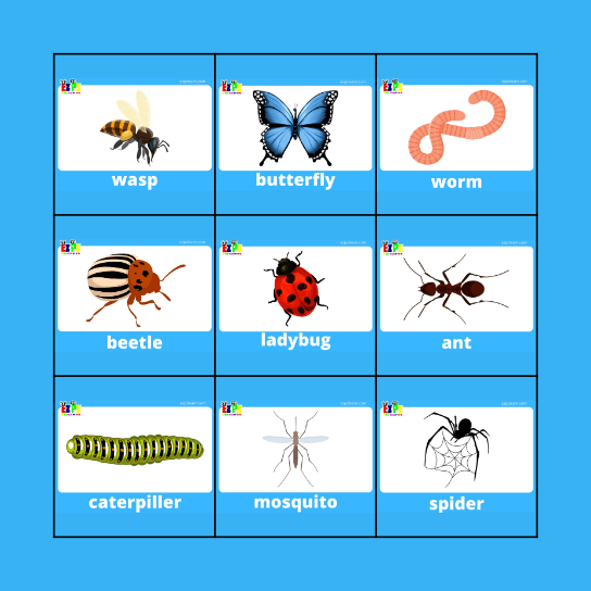 Insects Bingo Card
