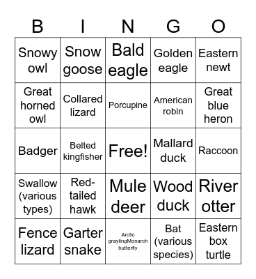 Wildlife Bingo Card