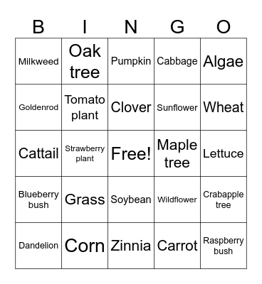 Plants Bingo Card