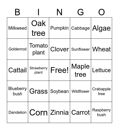 Plants Bingo Card