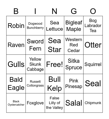 Olympic National Park Coast-CB Bingo Card