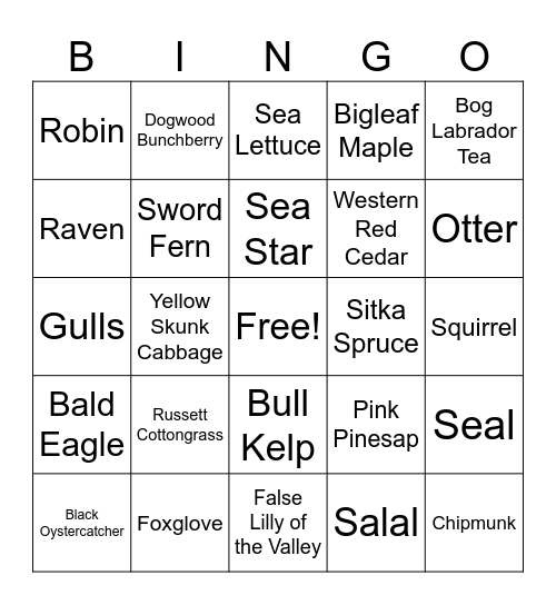 Olympic National Park Coast-CB Bingo Card
