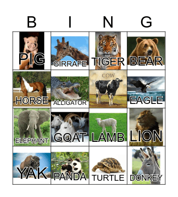 ANIMAL Bingo Card