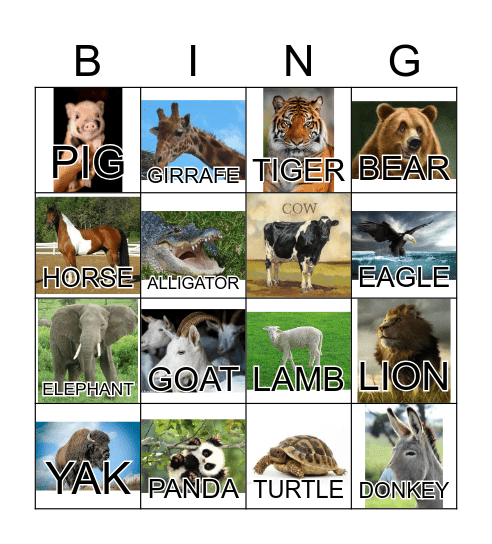 ANIMAL Bingo Card