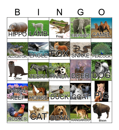 ANIMAL Bingo Card