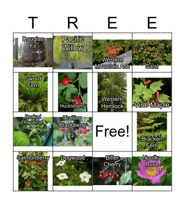 Washington State Native Species Bingo Card