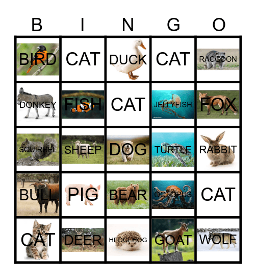 Spanish Animals Bingo Card