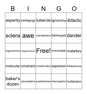 Vocabulary 1 Bingo Card