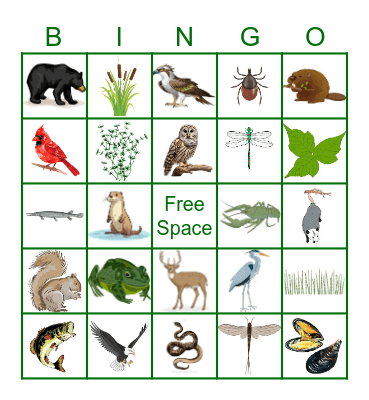 James River State Park Wildlife Bingo Card