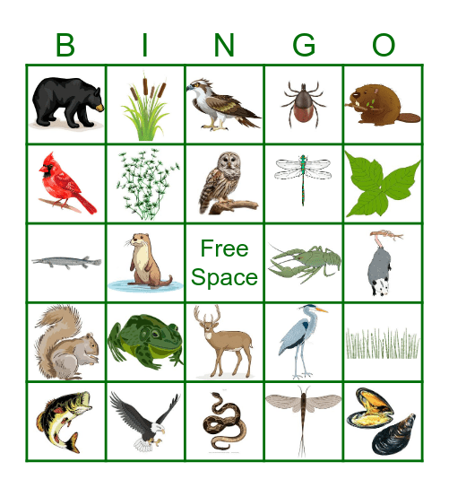 James River State Park Wildlife Bingo Card