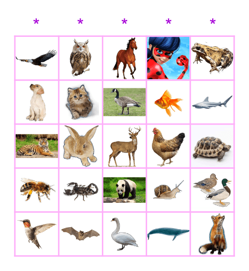 Evie's Birthday Bingo! Bingo Card