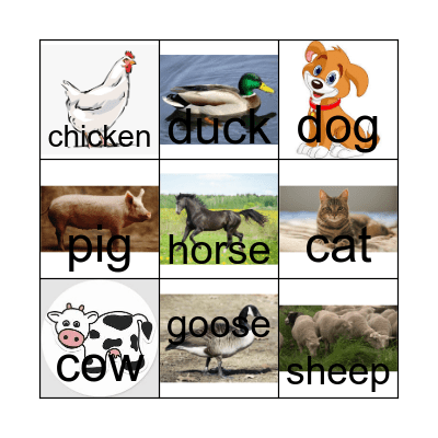 Animal Sounds Bingo Card