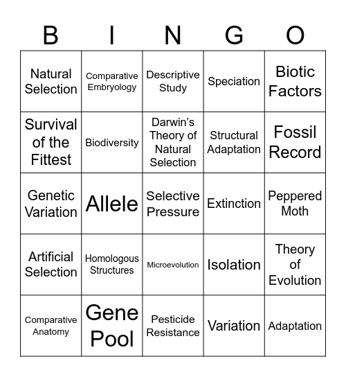 Module 3 Bingo Card