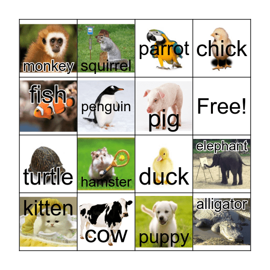 Hopper 2 Unit 1 Bingo Card