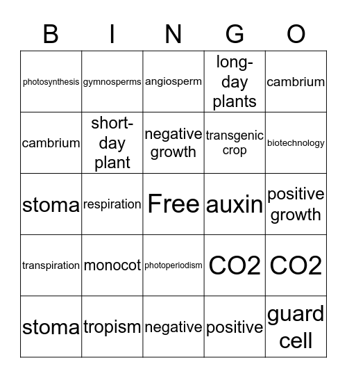 Science Bingo  Bingo Card