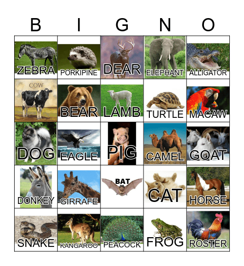 ANIMAL Bingo Card