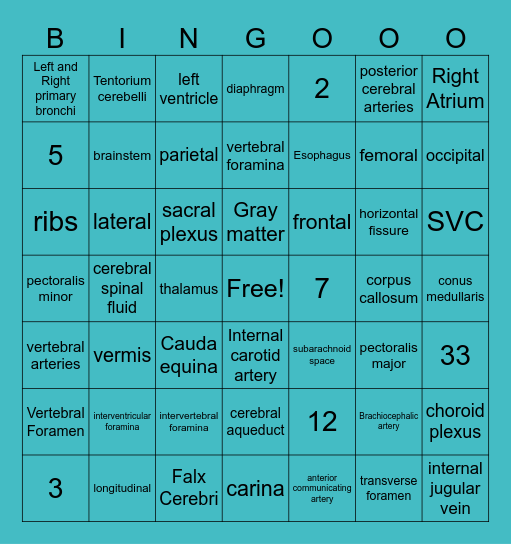 MIT201 Midterm Review Bingo Card