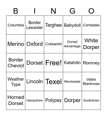 Sheep Breeds Bingo Card