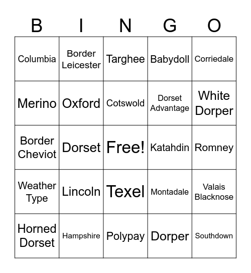 Sheep Breeds Bingo Card