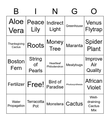 Houseplants round 1 & 2 Bingo Card