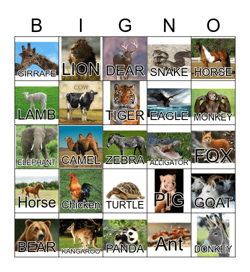 ANIMAL Bingo Card