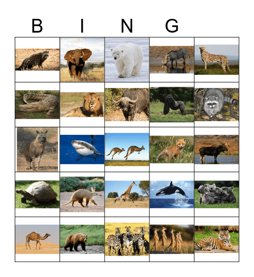 Animal Bingo Card